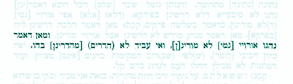 Sefer HaPardes LeRashi