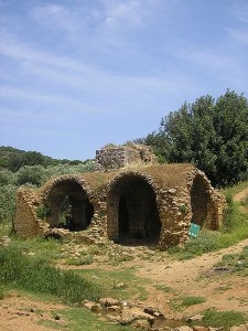 טחנת קמח עתיקה סמוך לצלמון המקורי