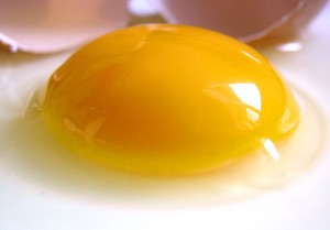 Egg yolk yellow as an example of yerakrak