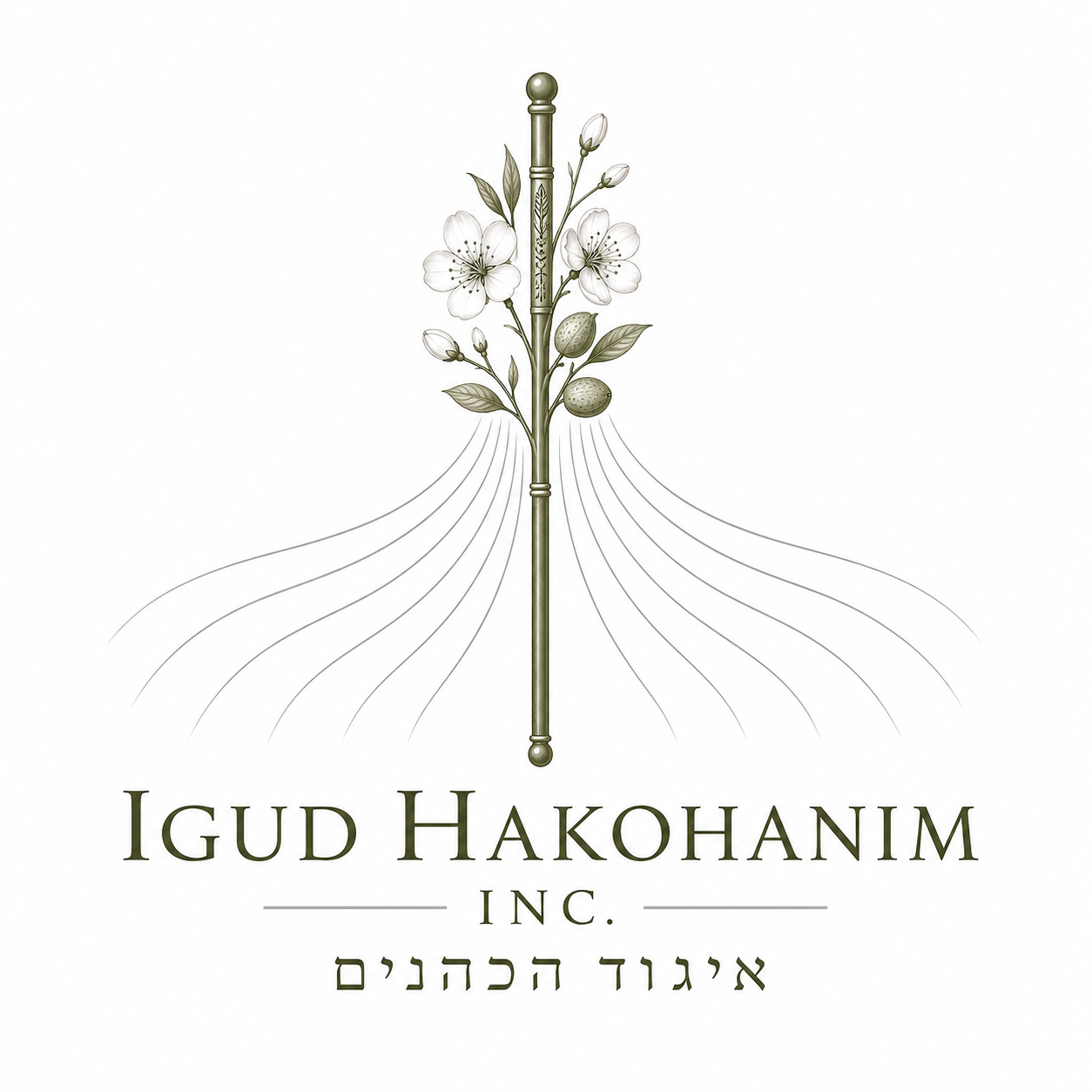Igud HaKohanim | איגוד הכהנים