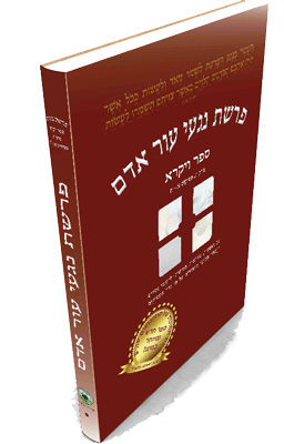 כריכת פרשת נגעי עור אדם כרך א׳