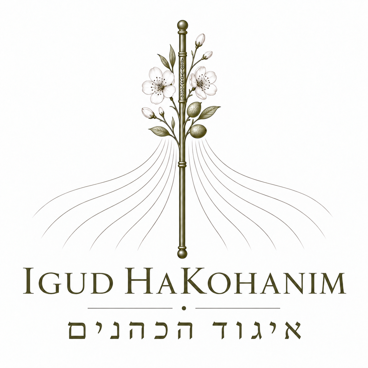 Igud HaKohanim | איגוד הכהנים